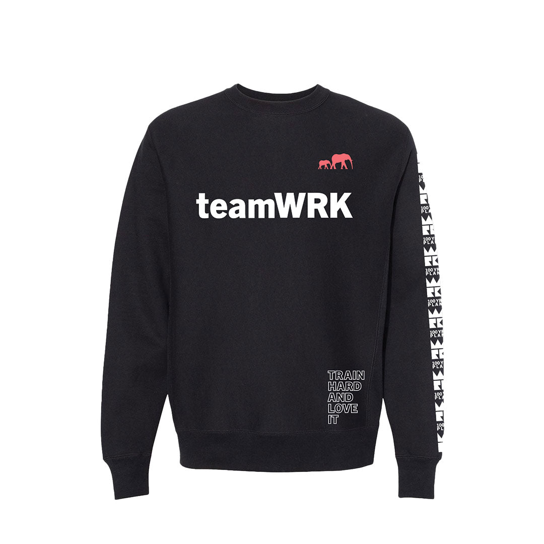 teamWRK x BKc Cotton Train Hard/100YR Plan A Crewneck Sweater