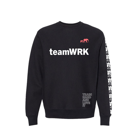 teamWRK x BKc Cotton Train Hard/100YR Plan A Crewneck Sweater