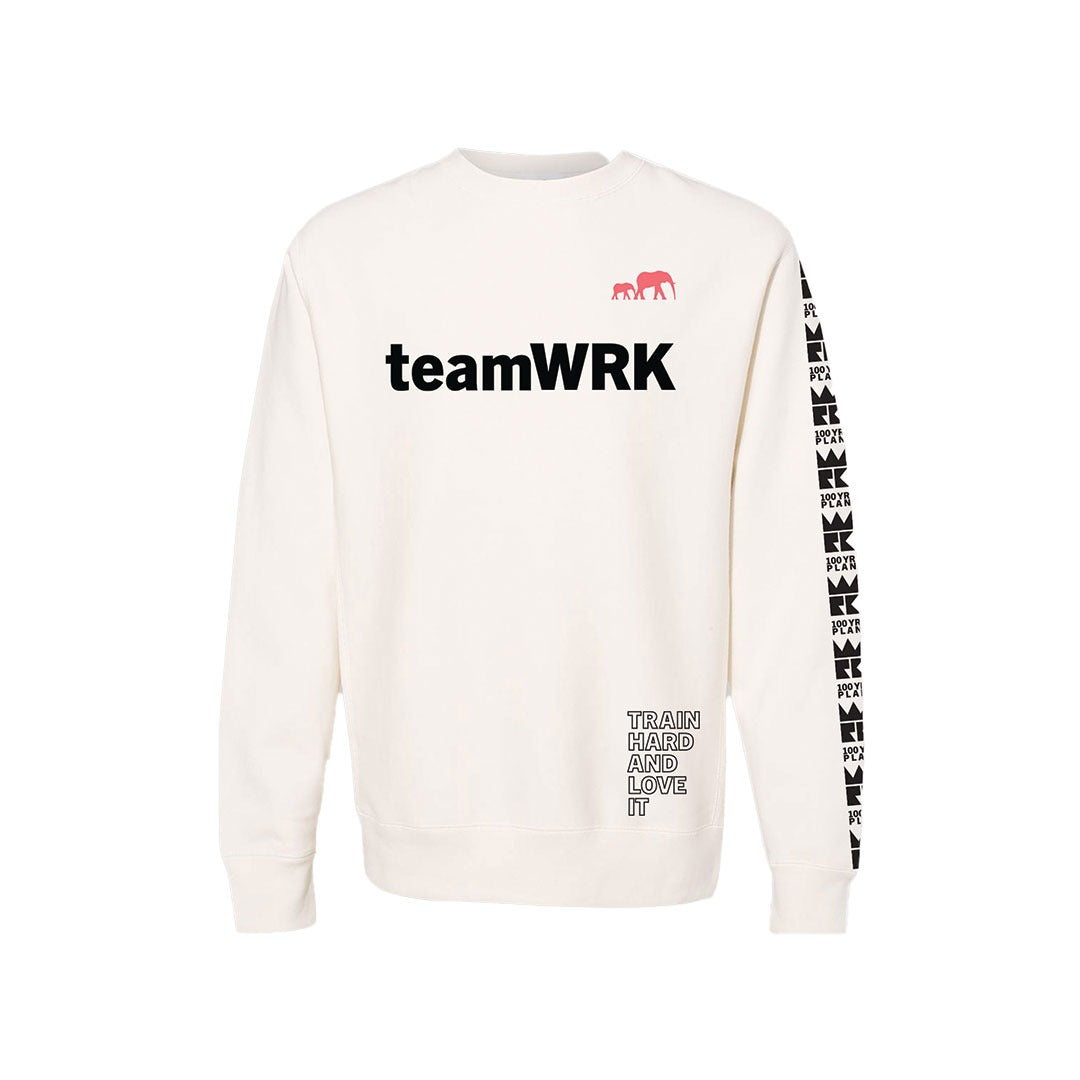 teamWRK x BKc Cotton Train Hard/100YR Plan A Crewneck Sweater