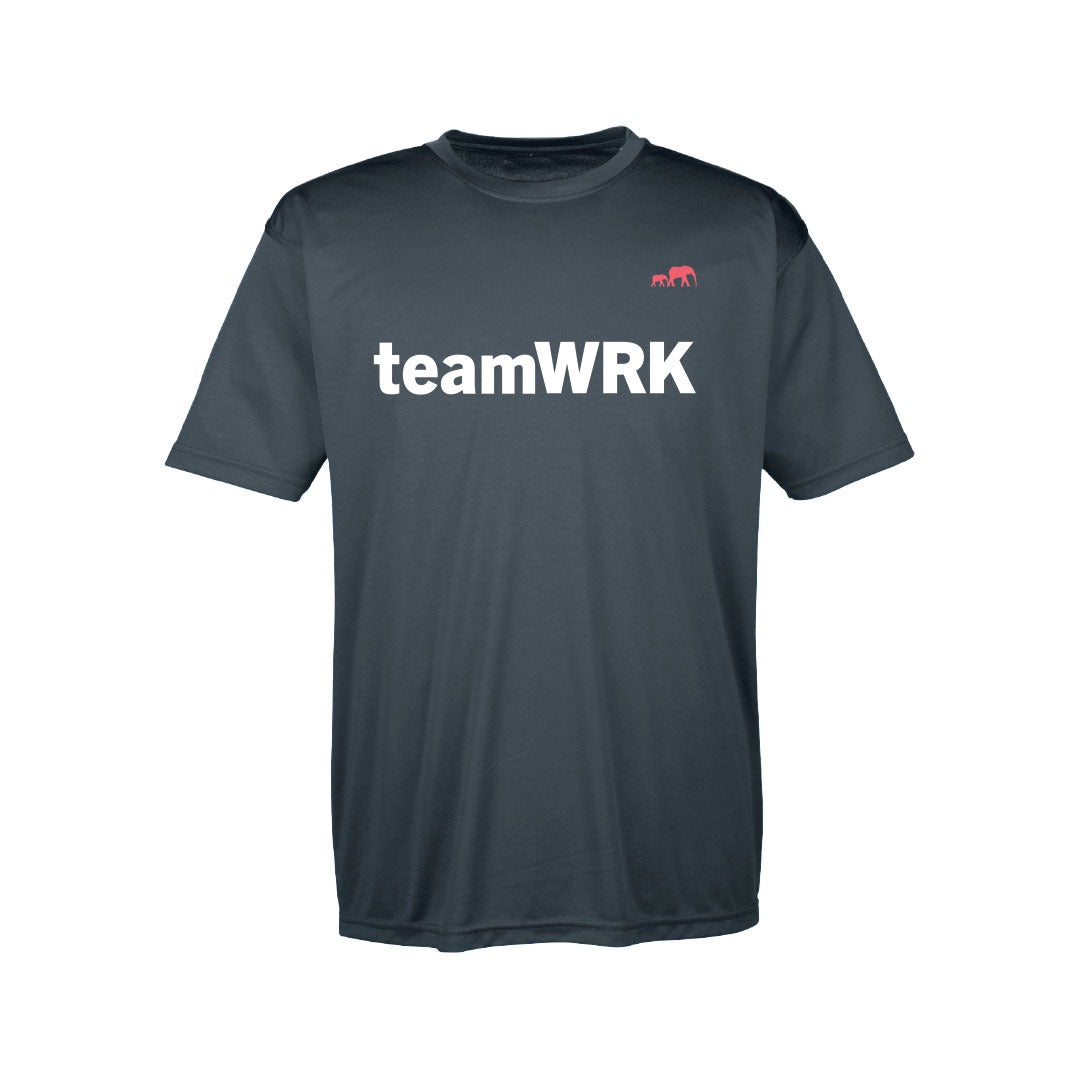 The TeamWRK Performance Team -- 24 weeks In-Person or Virtual