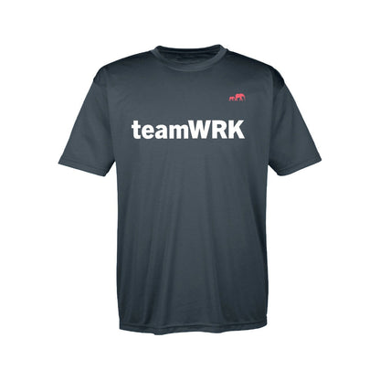 The TeamWRK Performance Team -- Annual In-Person or *Virtual (Best Value)