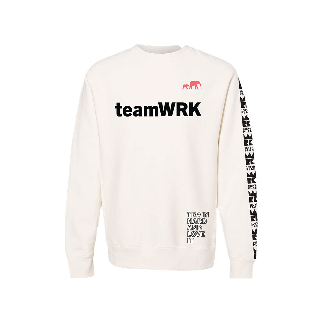 TeamWRK x BKc Cotton Train Hard/100YR Plan A Crewneck Sweater